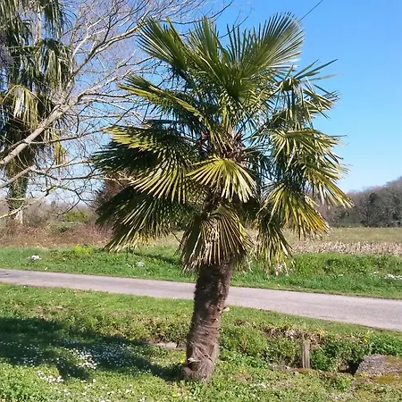 Oda ve Kahvaltı Ranch Bignaou 2*