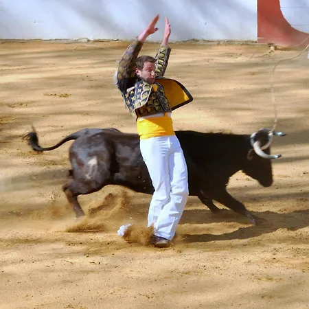 Ranch Bignaou 2* Amou