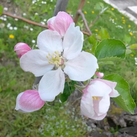 Oda ve Kahvaltı Ranch Bignaou Amou