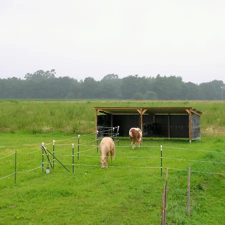Ranch Bignaou Bed & Breakfast 2*