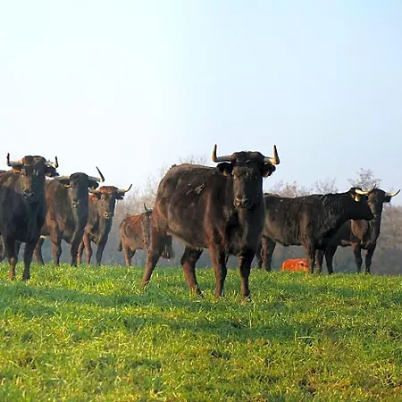 Ranch Bignaou Frühstückspension