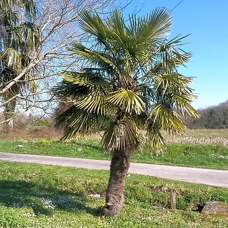 Frühstückspension Ranch Bignaou 2*