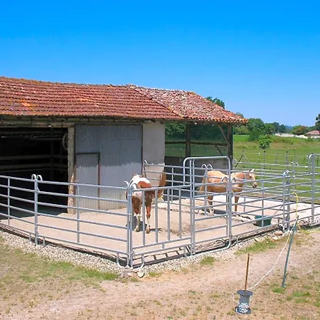 Ranch Bignaou