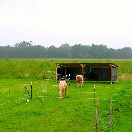 Ranch Bignaou 2* Amou