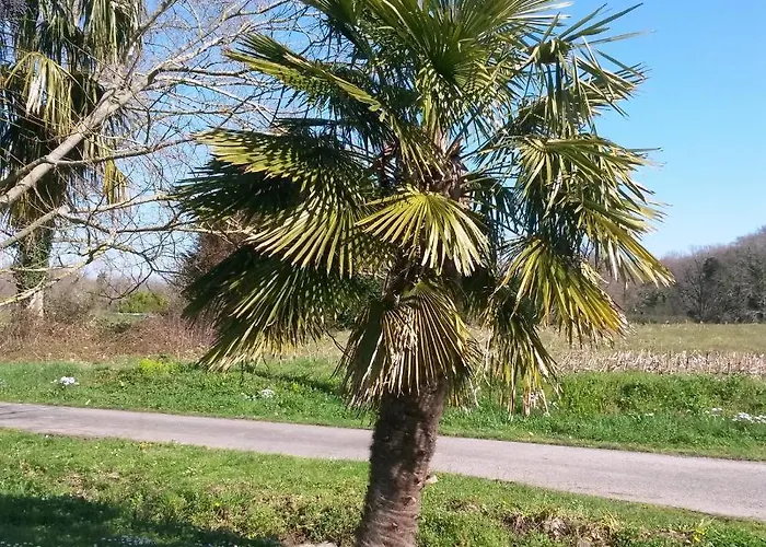 Bed & Breakfast Ranch Bignaou 2*