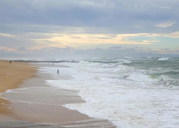 Bed & Breakfast Ranch Bignaou Amou