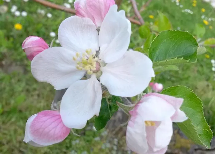 Bed & Breakfast Ranch Bignaou Amou