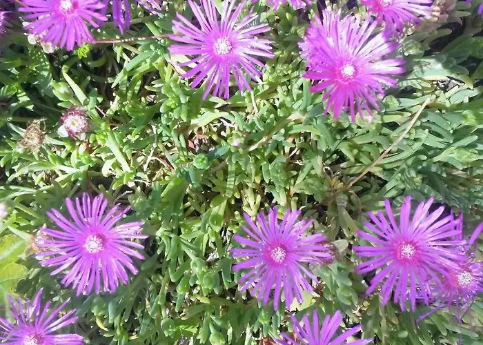 Bed & Breakfast Ranch Bignaou