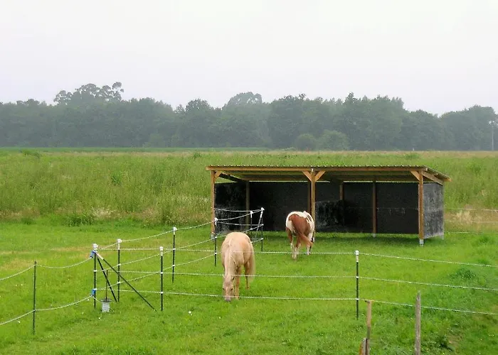 Ranch Bignaou Bed & Breakfast 2*